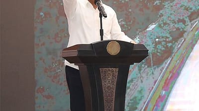 Muhammad Rudi (Kepala BP Batam)
